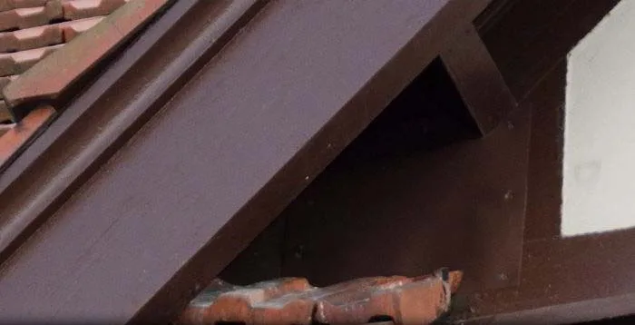Shutter and vent bird-proofing