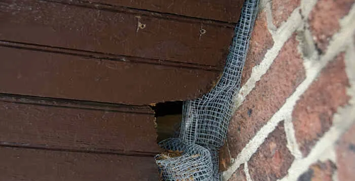 Competitor squirrel excluder