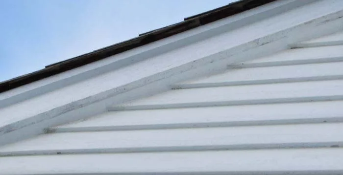 Bat exclusion work in southeastern Pennsylvania