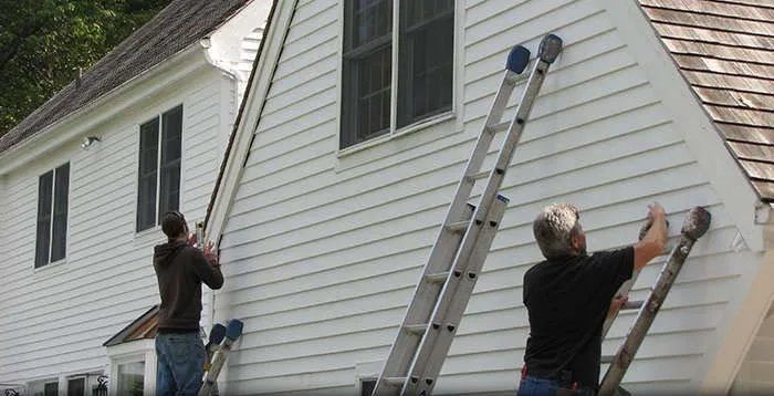 Clean roofline bat exclusion
