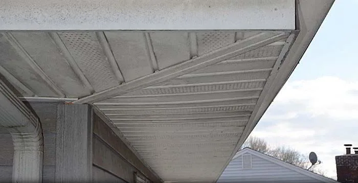 Raccoon damage repair