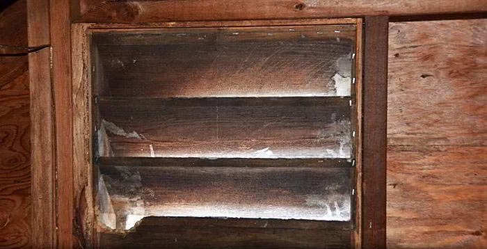 Squirrel attic vent damage