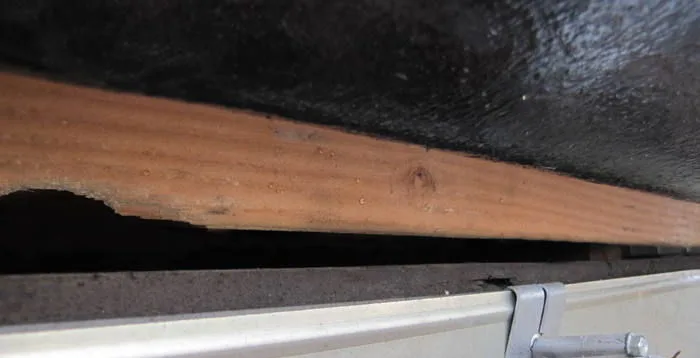 Chewed corner entry before sealing